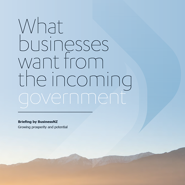 What Businesses Want from the Incoming Government